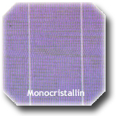 Cellule monocristaline